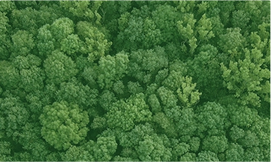 Carbon Capture Australia 2025